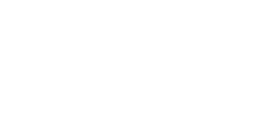 Ipso Sport